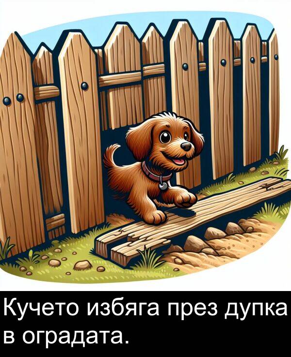оградата: Кучето избяга през дупка в оградата.