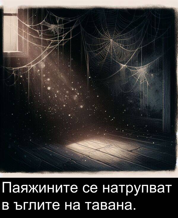 натрупват: Паяжините се натрупват в ъглите на тавана.