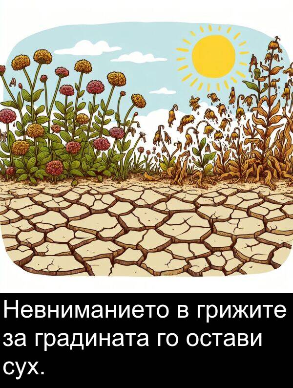 сух: Невниманието в грижите за градината го остави сух.
