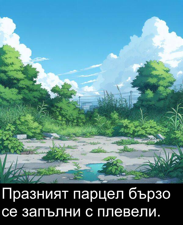 запълни: Празният парцел бързо се запълни с плевели.