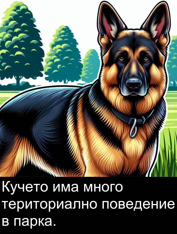 поведение: Кучето има много териториално поведение в парка.