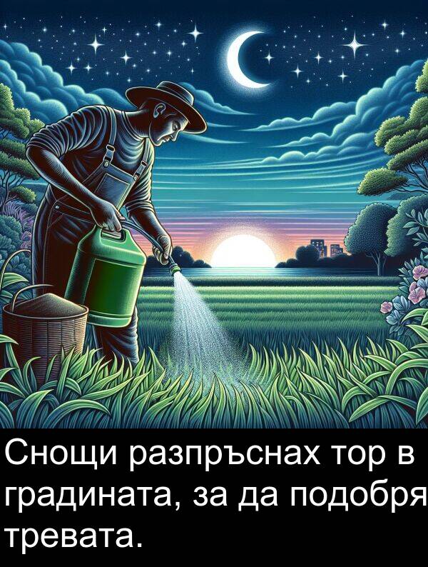 градината: Снощи разпръснах тор в градината, за да подобря тревата.