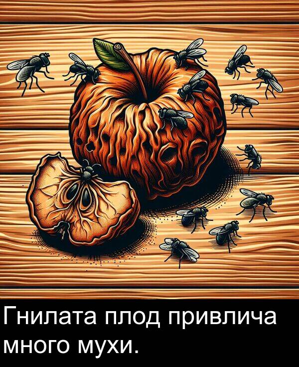 много: Гнилата плод привлича много мухи.