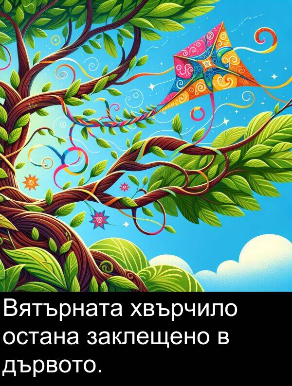 дървото: Вятърната хвърчило остана заклещено в дървото.