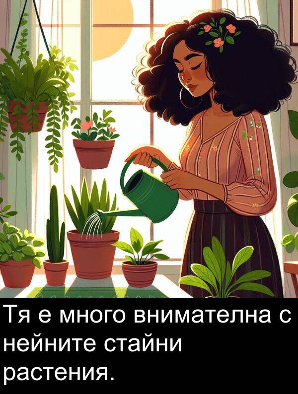 стайни: Тя е много внимателна с нейните стайни растения.