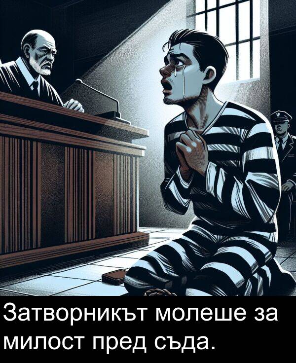 милост: Затворникът молеше за милост пред съда.