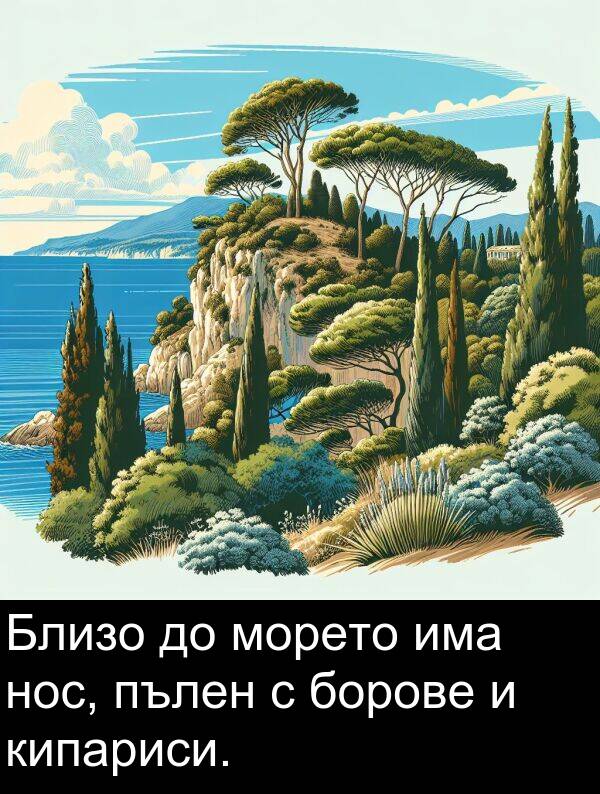 пълен: Близо до морето има нос, пълен с борове и кипариси.
