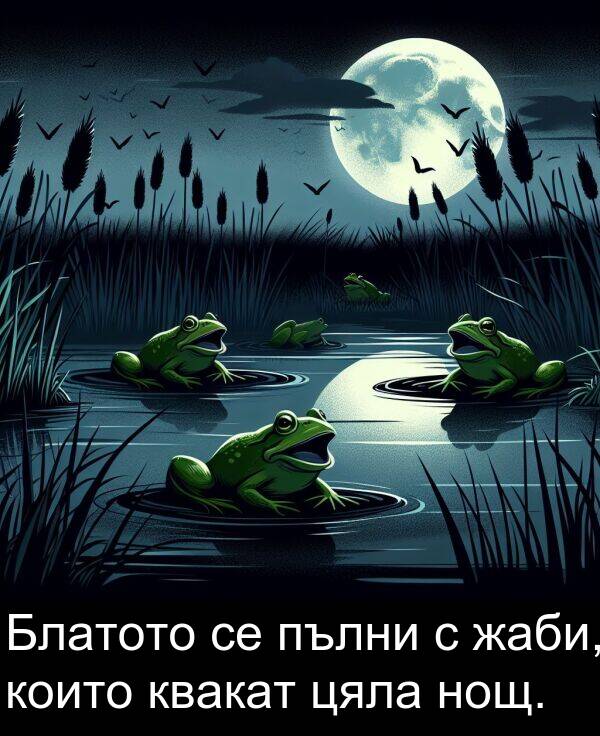 пълни: Блатото се пълни с жаби, които квакат цяла нощ.
