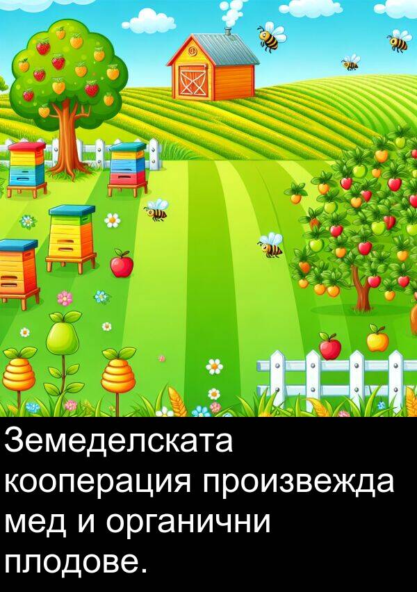 мед: Земеделската кооперация произвежда мед и органични плодове.