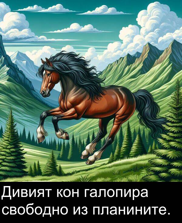свободно: Дивият кон галопира свободно из планините.