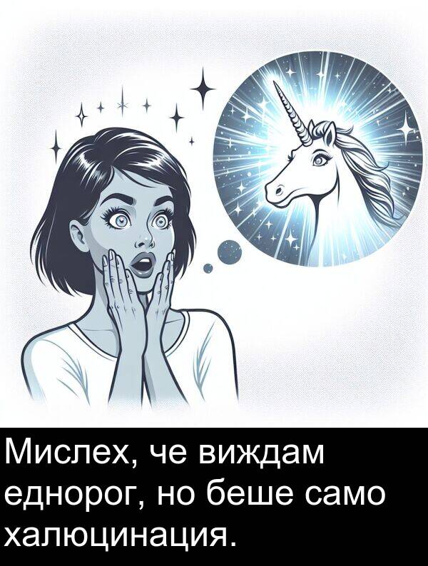еднорог: Мислех, че виждам еднорог, но беше само халюцинация.