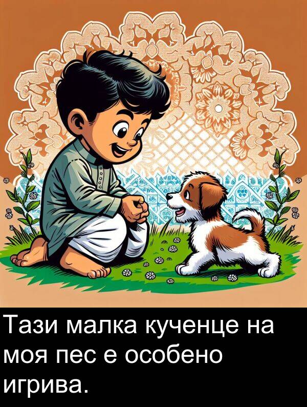 игрива: Тази малка кученце на моя пес е особено игрива.