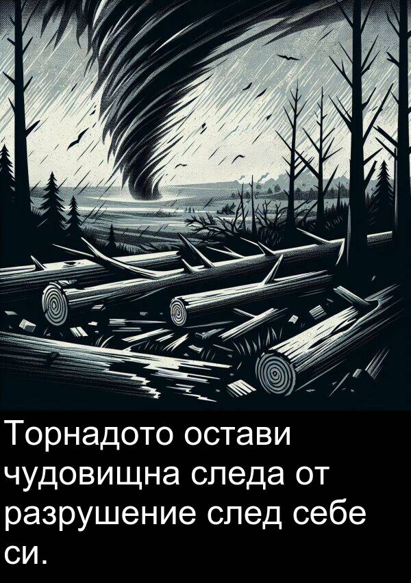 следа: Торнадото остави чудовищна следа от разрушение след себе си.