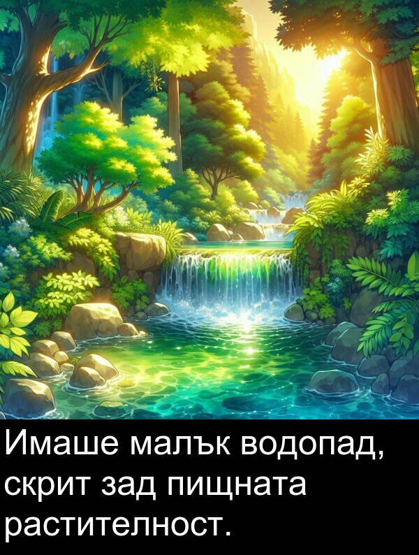 малък: Имаше малък водопад, скрит зад пищната растителност.