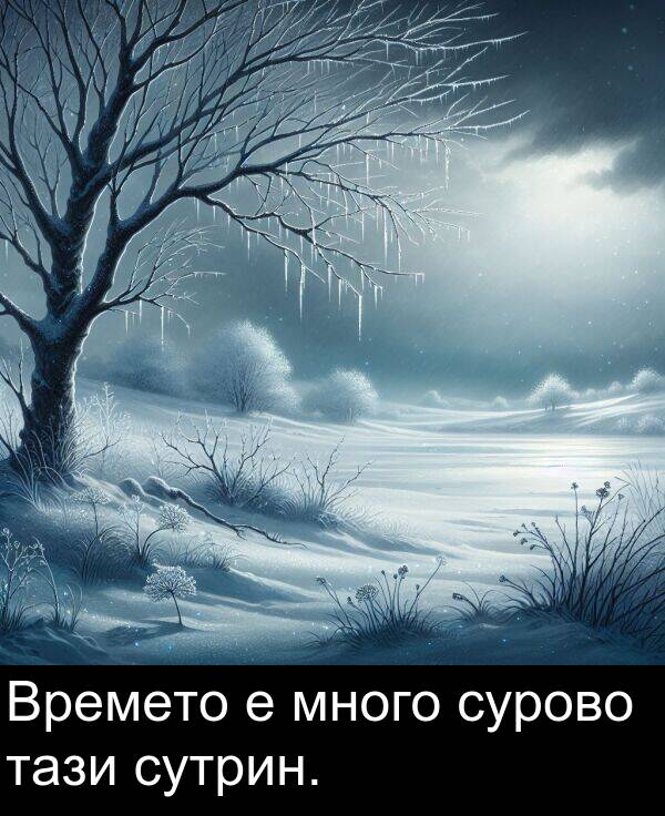 много: Времето е много сурово тази сутрин.