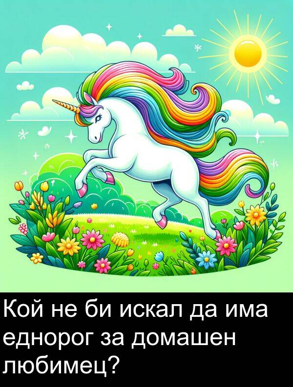 еднорог: Кой не би искал да има еднорог за домашен любимец?
