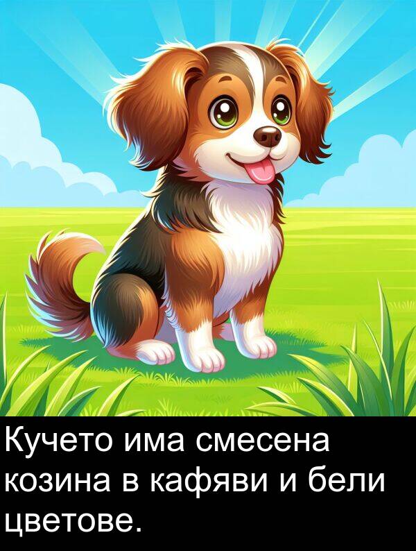 бели: Кучето има смесена козина в кафяви и бели цветове.