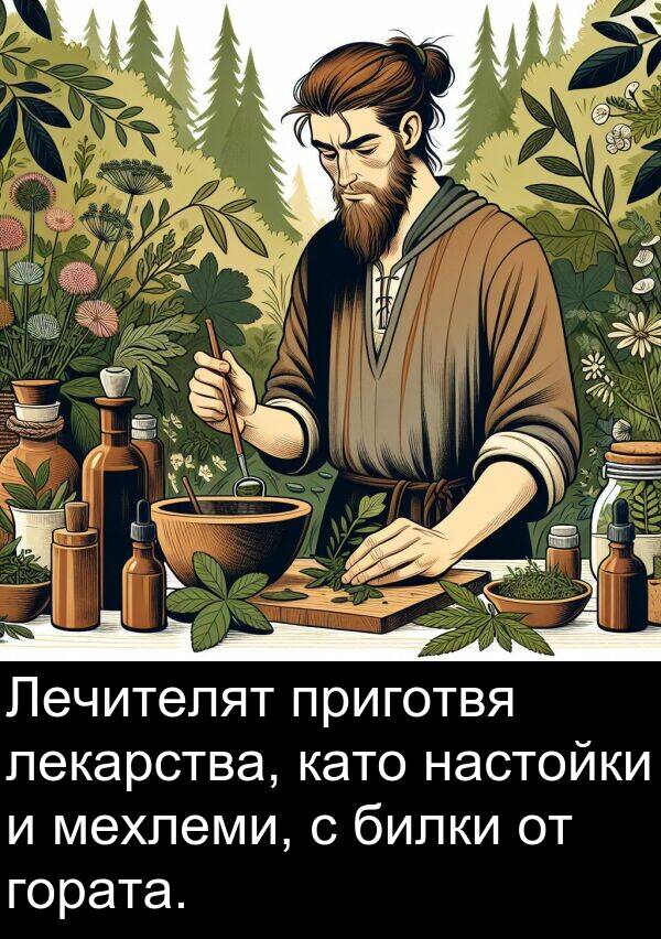 лекарства: Лечителят приготвя лекарства, като настойки и мехлеми, с билки от гората.