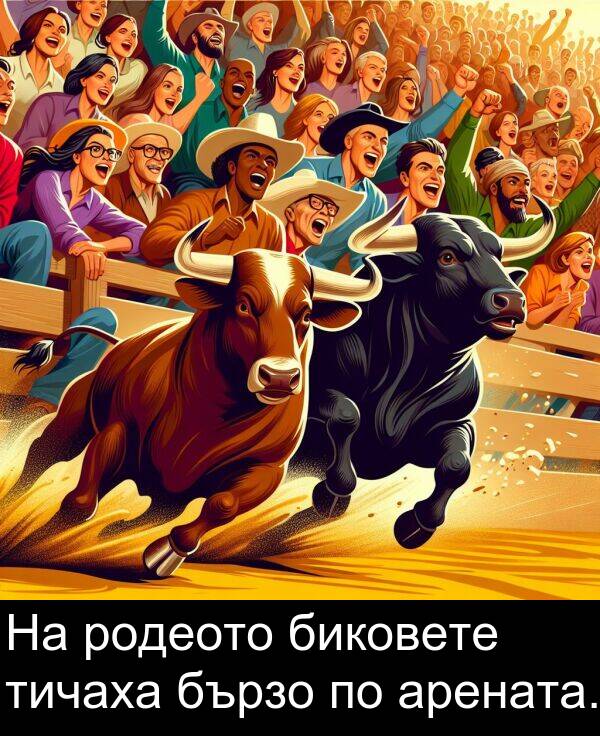 арената: На родеото биковете тичаха бързо по арената.