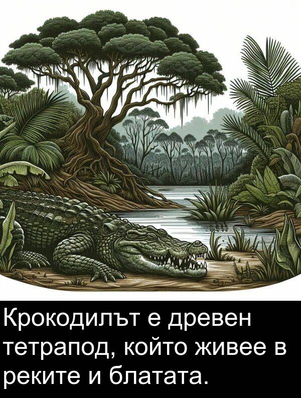 блатата: Крокодилът е древен тетрапод, който живее в реките и блатата.