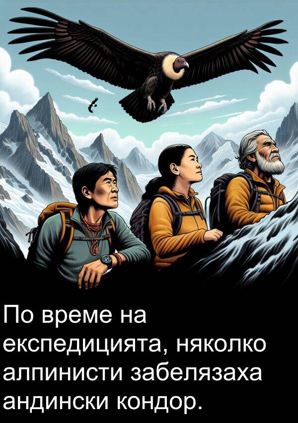 забелязаха: По време на експедицията, няколко алпинисти забелязаха андински кондор.