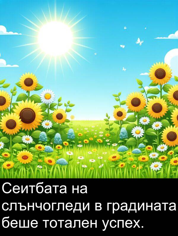 слънчогледи: Сеитбата на слънчогледи в градината беше тотален успех.