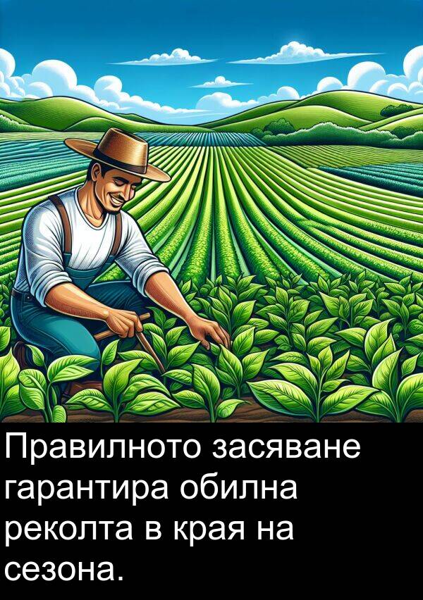 обилна: Правилното засяване гарантира обилна реколта в края на сезона.