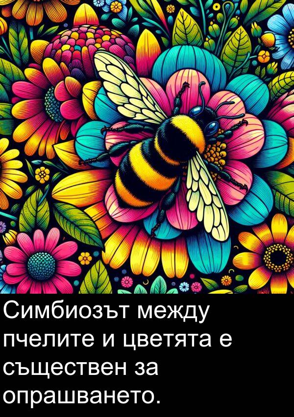 между: Симбиозът между пчелите и цветята е съществен за опрашването.