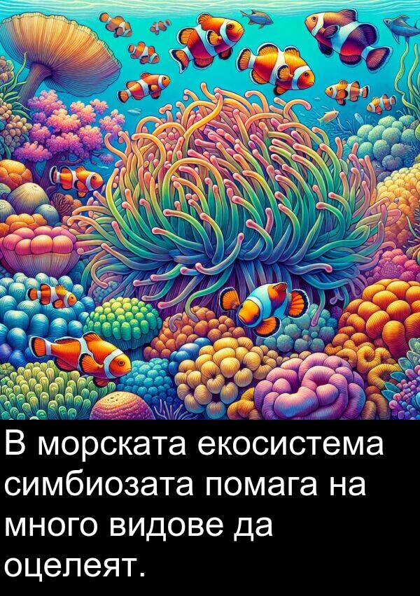 екосистема: В морската екосистема симбиозата помага на много видове да оцелеят.