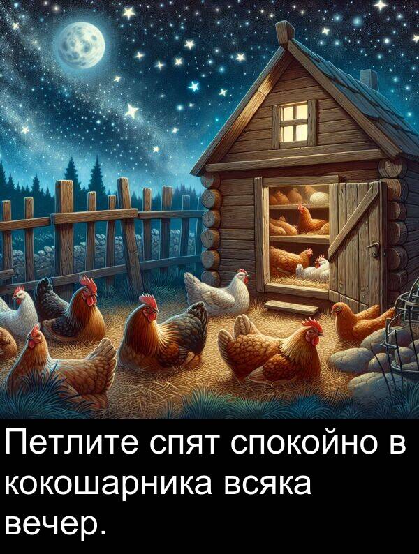 спят: Петлите спят спокойно в кокошарника всяка вечер.
