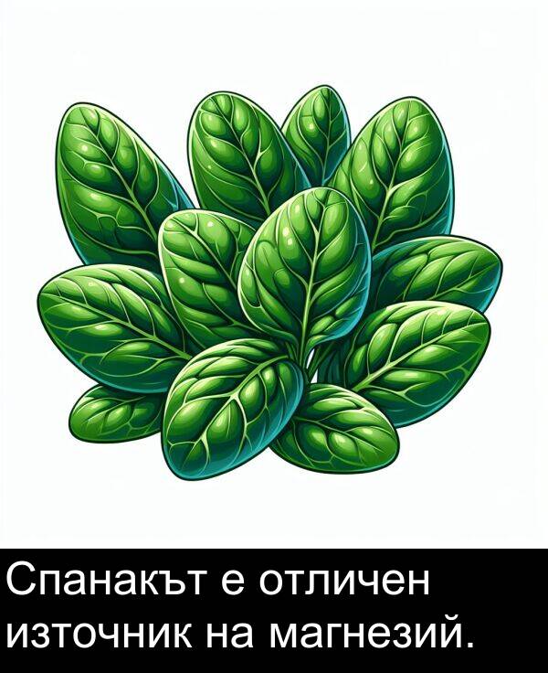 магнезий: Спанакът е отличен източник на магнезий.
