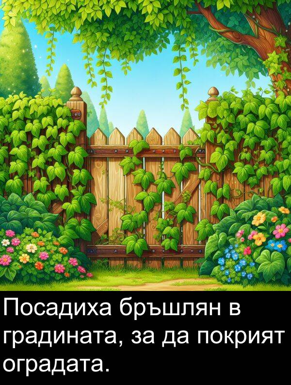 покрият: Посадиха бръшлян в градината, за да покрият оградата.