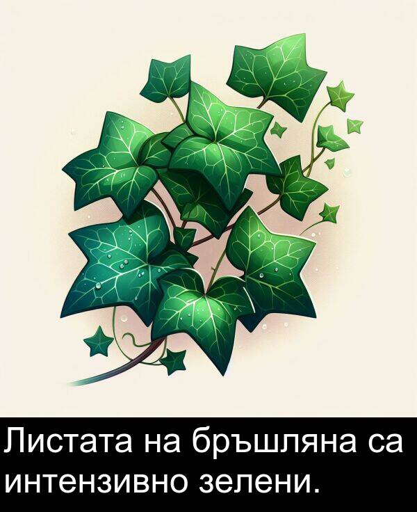 зелени: Листата на бръшляна са интензивно зелени.