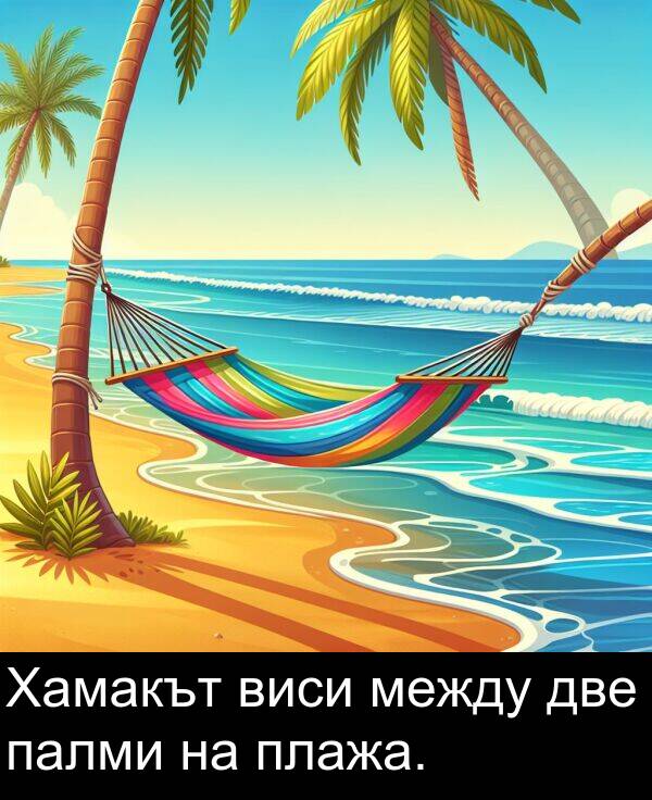 две: Хамакът виси между две палми на плажа.