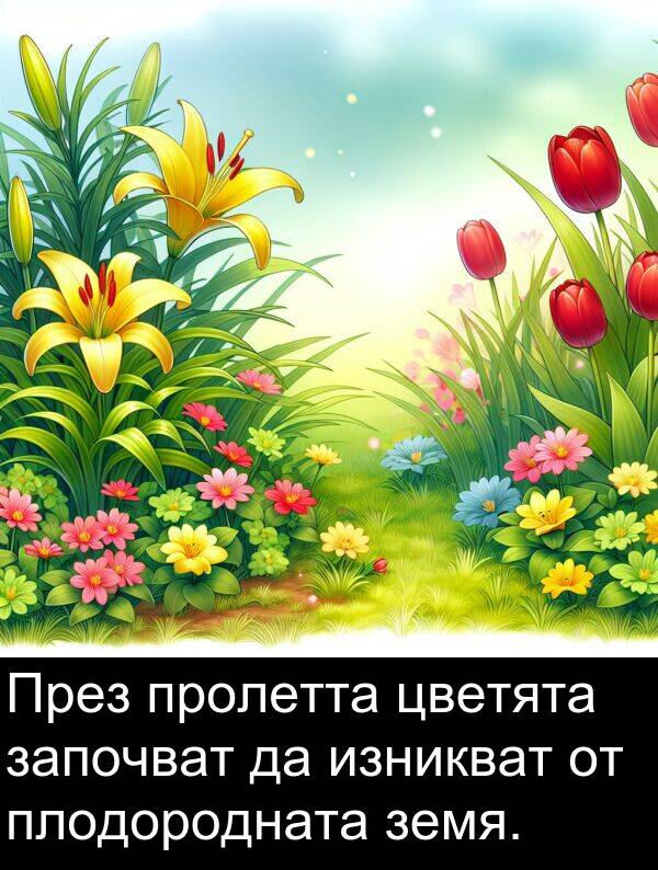 започват: През пролетта цветята започват да изникват от плодородната земя.