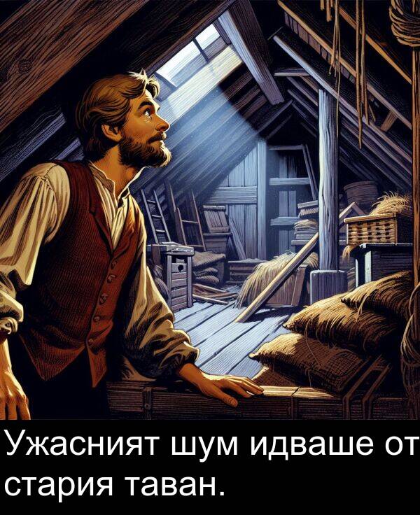 шум: Ужасният шум идваше от стария таван.