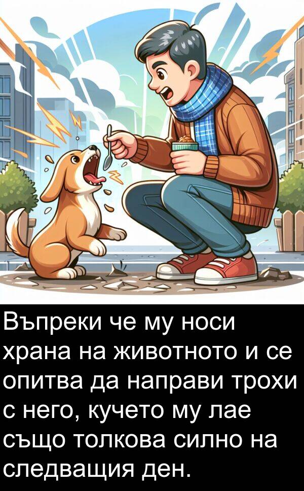 лае: Въпреки че му носи храна на животното и се опитва да направи трохи с него, кучето му лае също толкова силно на следващия ден.