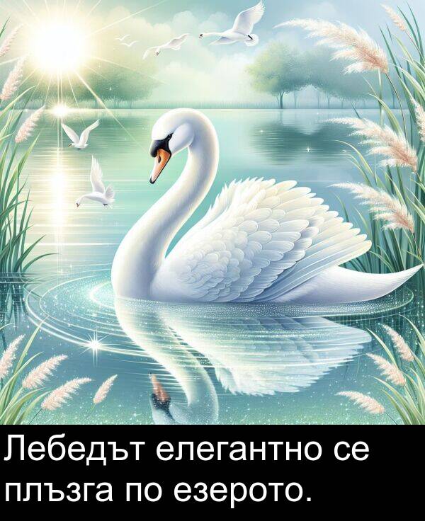 езерото: Лебедът елегантно се плъзга по езерото.