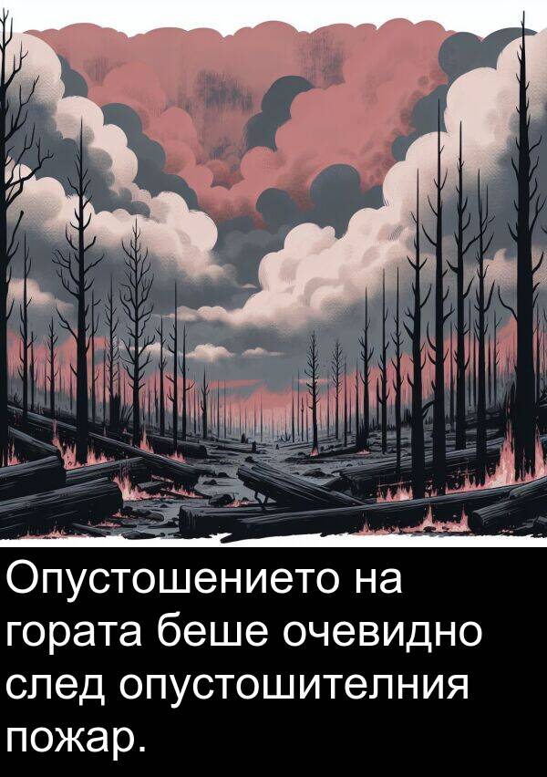 пожар: Опустошението на гората беше очевидно след опустошителния пожар.