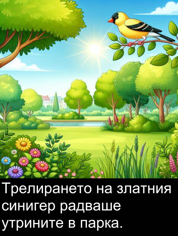радваше: Трелирането на златния синигер радваше утрините в парка.