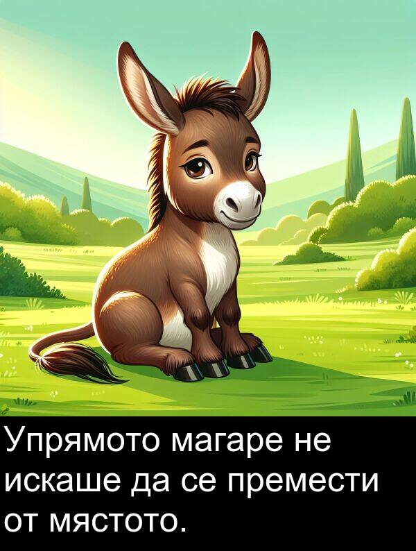 магаре: Упрямото магаре не искаше да се премести от мястото.