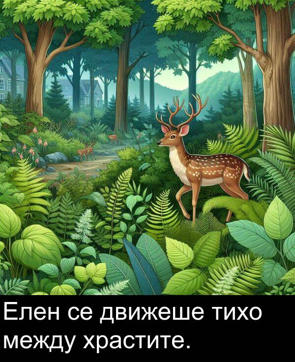 движеше: Елен се движеше тихо между храстите.