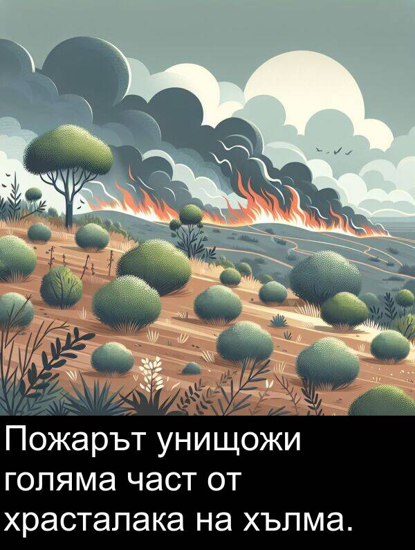 част: Пожарът унищожи голяма част от храсталака на хълма.