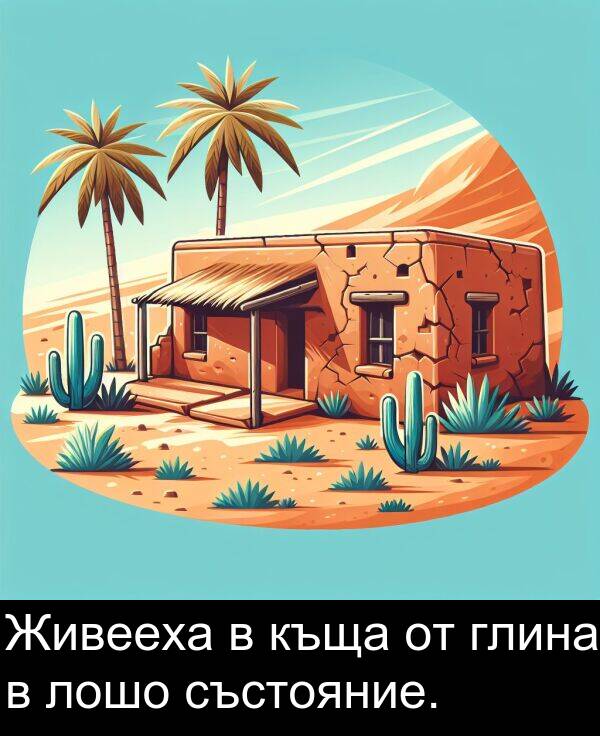 състояние: Живееха в къща от глина в лошо състояние.