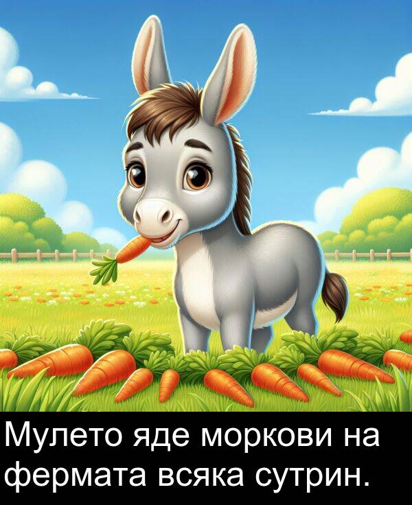 яде: Мулето яде моркови на фермата всяка сутрин.