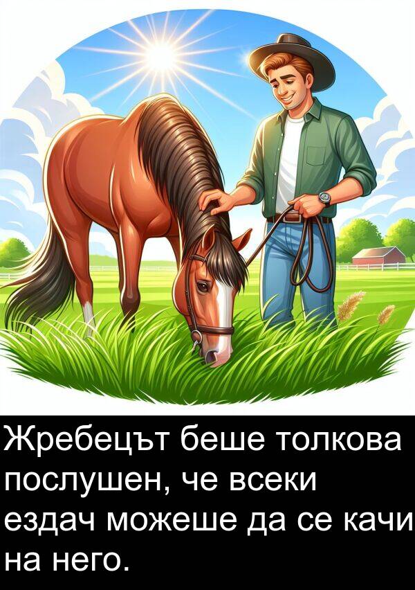 ездач: Жребецът беше толкова послушен, че всеки ездач можеше да се качи на него.