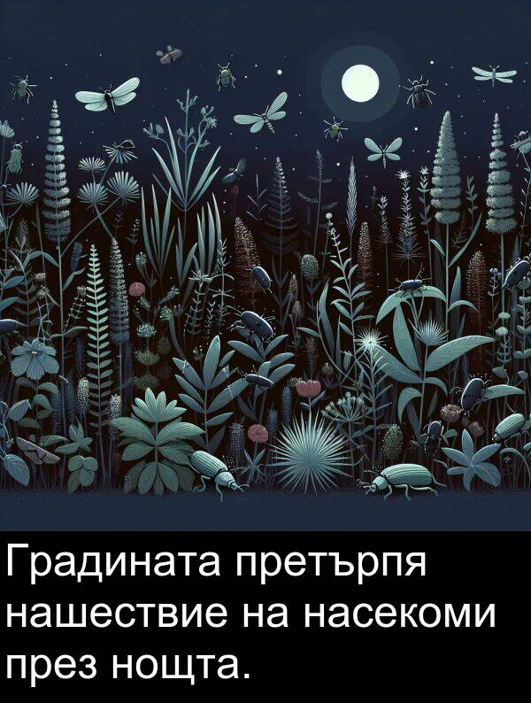 нашествие: Градината претърпя нашествие на насекоми през нощта.