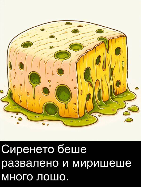 развалено: Сиренето беше развалено и миришеше много лошо.