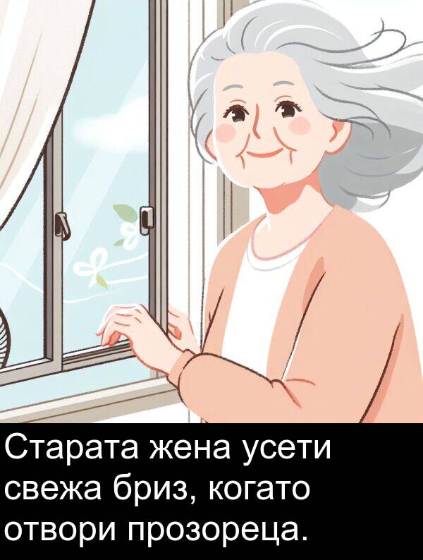 свежа: Старата жена усети свежа бриз, когато отвори прозореца.