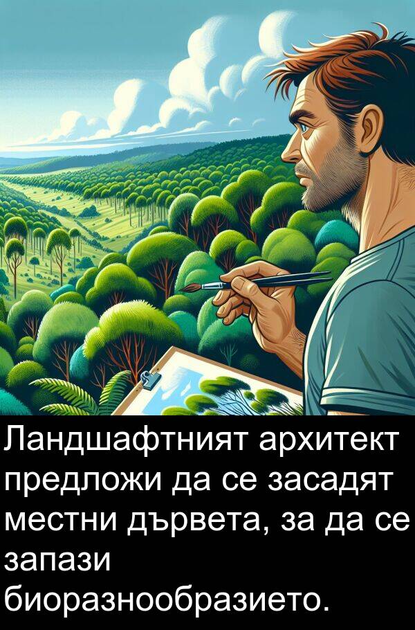 засадят: Ландшафтният архитект предложи да се засадят местни дървета, за да се запази биоразнообразието.